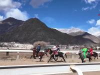 FB体育在线-包含西藏队在最近的一场比赛中取得了令人瞩目的胜利的词条