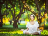 FB体育-黄喜灿数据全面爆炸，利物浦一波带走勒沃库森，战术变革与个人英雄主义的完美融合