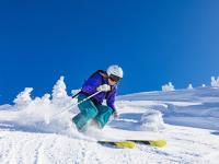FB赛事直播-当北欧神话遇见沙漠风暴，布雷默的生死时刻与足球的冰冷预言