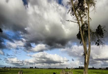 FB体育官网-最新焦点：意大利淘汰，排名断崖式暴跌！欧洲杯卫冕魔咒再显灵