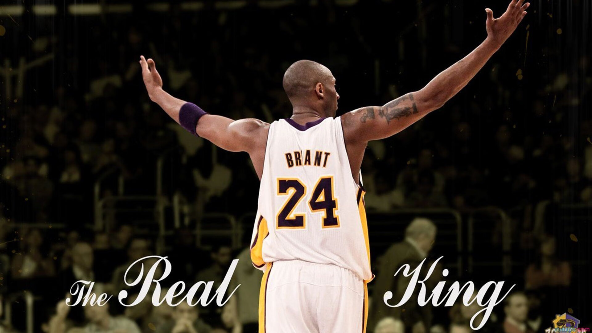 冰火交响曲，吉林队一波流带走76人，欧文点燃赛场之夜